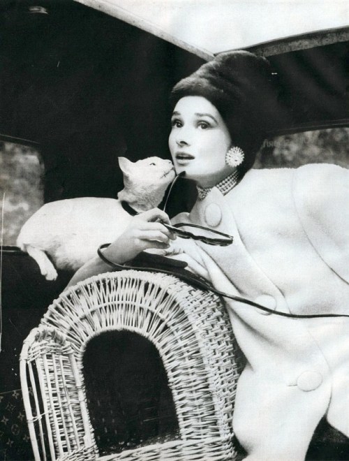 audrey hepburn by richard avedon