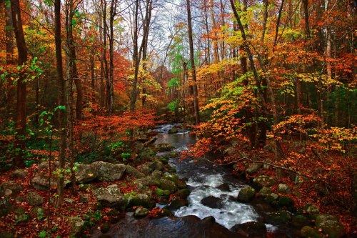 Autumn-in-Tennessee-Fall-Creek-Great-Smoky-Mountains