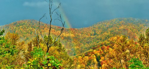 Every-color-of-the-rainbow-rainbow-and-autumn-at-the-Great-Smokies