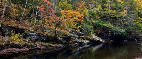 Fall-foilage-seen-from-a-pull-off-on-Little-River-Road-between-The-Sinks-and-the-Townsend-Wye