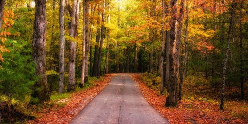 Fall-Road-Glow-Cades-Cove-Great-Smoky-Mountains-National-Park