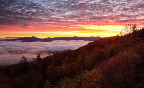 Pause-for-the-Sublime-in-the-Great-Smoky-Mountains