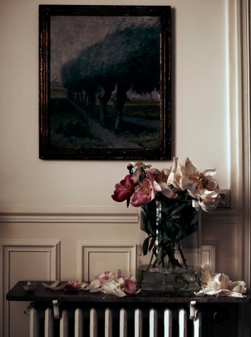 FLOWERS for valentine decor