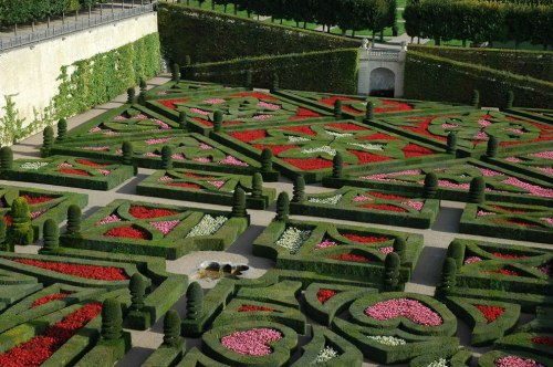 Chateau-Villandry-the-love-garden-geometric-garden-of-crosses-Maltese-Cross-Languedoc-cross-Basque-cross-Fleur-de-lis-lily-symbol