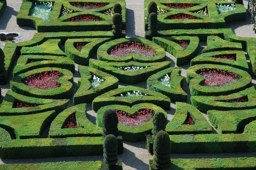 Renaissance-Tender-Love-gardens-of-Villandry
