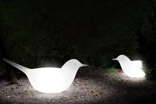 birds sofas lighting 