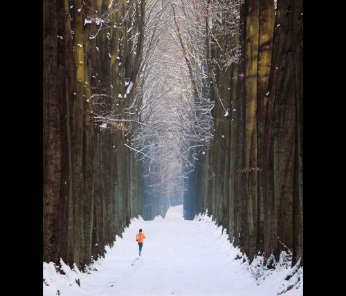 Post-Apocalypse-Running-in-the-Cathedral-Somewhere-in-the-Forêt-de-Soignes-close-to-Brussels-Belgium-on-a-snowy-afternoon1
