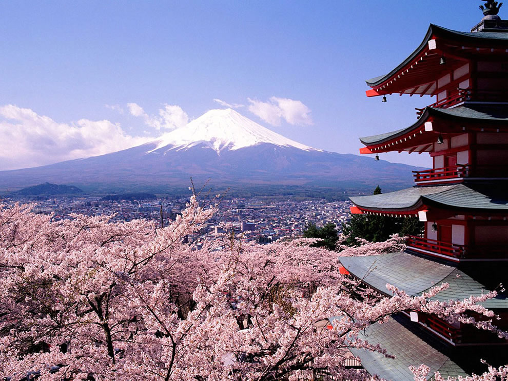 Mount-Fuji-cherry-blossoms-trees-and-pagoda-Tokyo-Japan