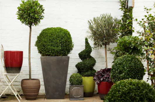 Outdoor_plants_and_pots