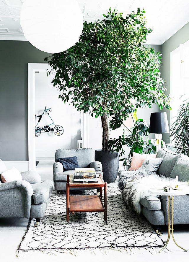 Fresh-Interior-Designs-Fit-For-Plant-Enthusiasts-homesthetics-4