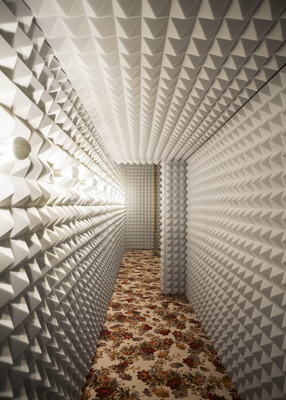 ©-Andrea-Ferrari_DSC44431