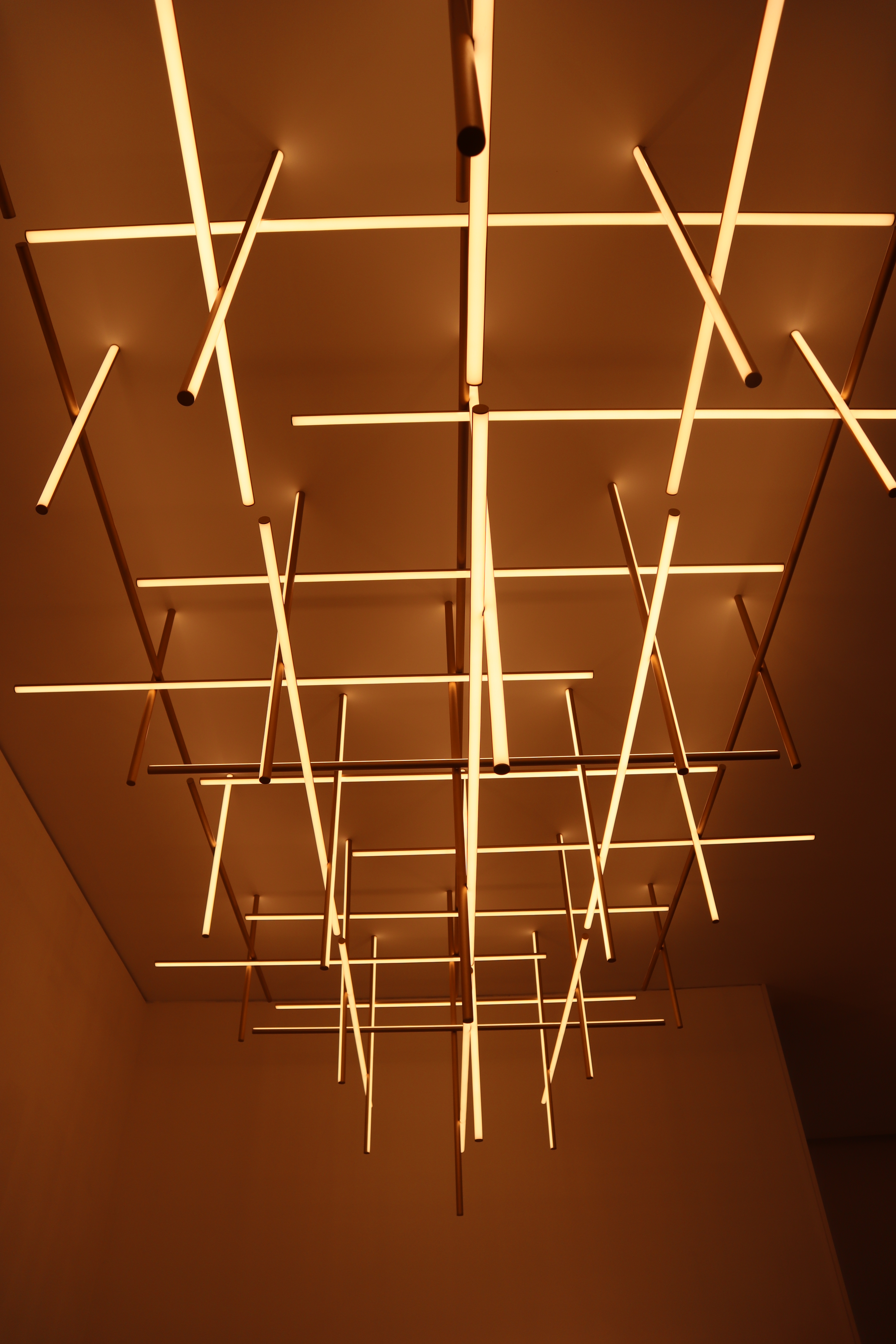 6863873854763499327_IMG_9001