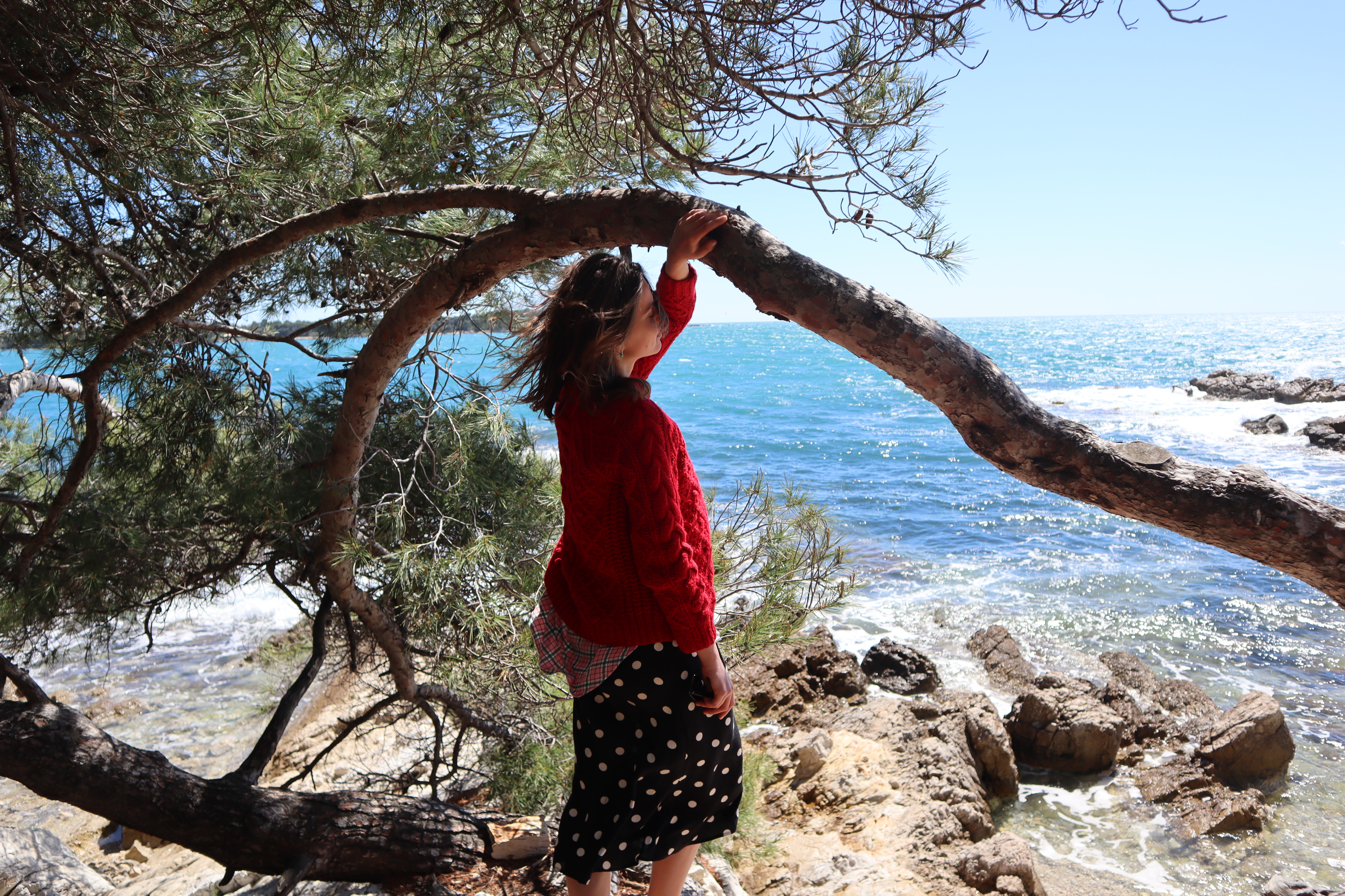 -8763278787929308991_IMG_9556