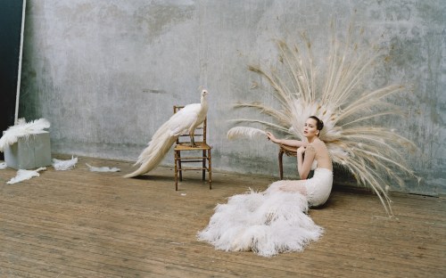 Tim-Walker-1-1